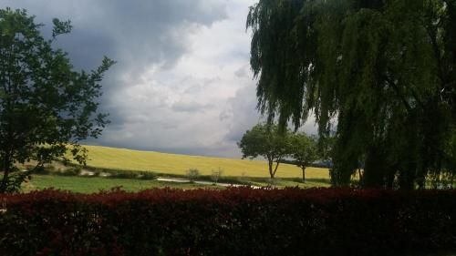 Outdoor Pictures 19