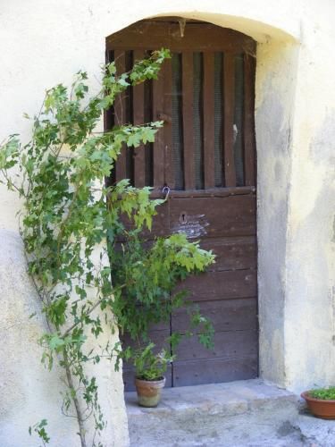 Outdoor Pictures 23