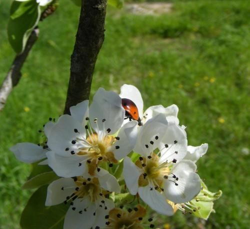 Outdoor Pictures 17