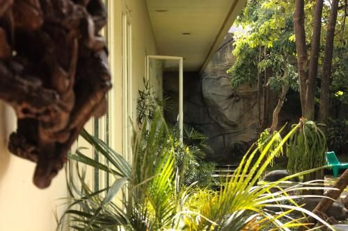 Outdoor Pictures 23