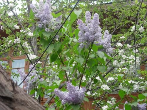 Outdoor Pictures 21