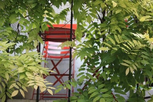 Outdoor Pictures 24