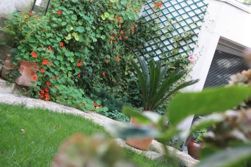 Outdoor Pictures 22