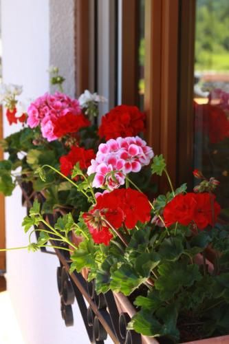 Outdoor Pictures 12