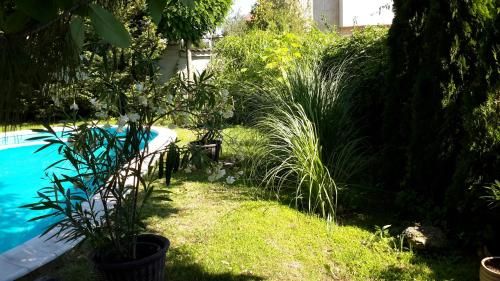 Outdoor Pictures 15