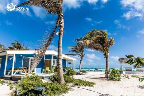Outdoor Pictures 23