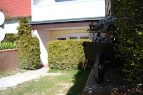 Outdoor Pictures 17