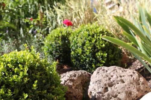 Outdoor Pictures 21