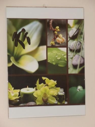 Outdoor Pictures 22