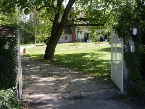 Outdoor Pictures 16
