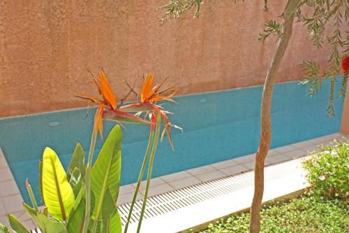 Outdoor Pictures 15