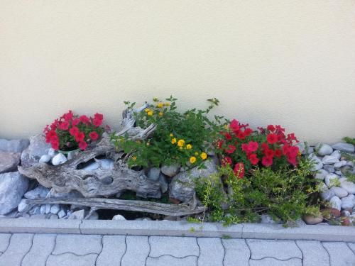 Outdoor Pictures 5