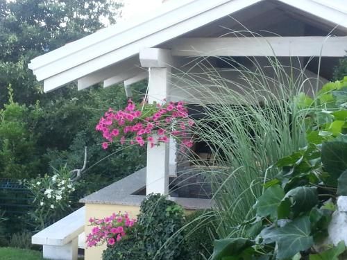 Outdoor Pictures 6