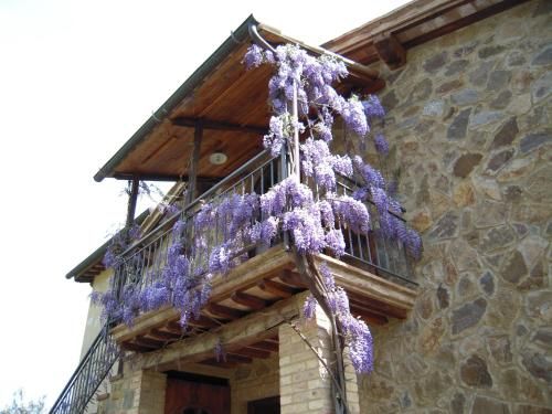 Outdoor Pictures 11