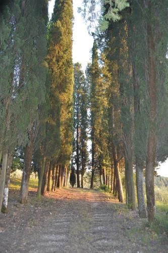 Outdoor Pictures 21