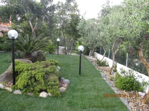 Outdoor Pictures 19
