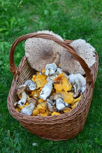 Outdoor Pictures 22