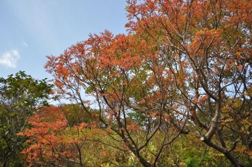 Outdoor Pictures 21
