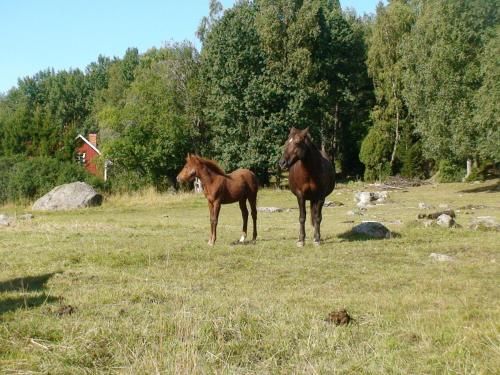 Outdoor Pictures 20