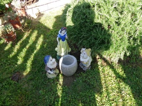 Outdoor Pictures 21