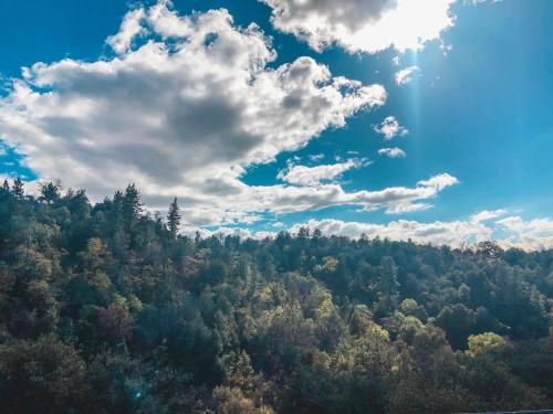 Outdoor Pictures 23