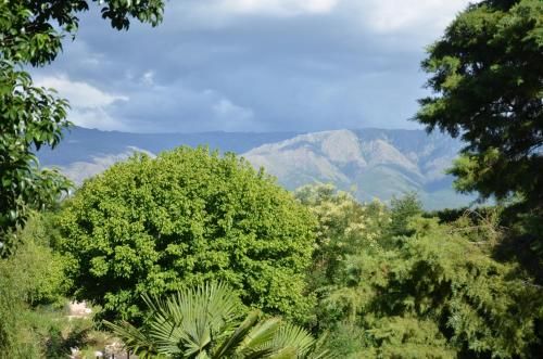 Outdoor Pictures 15