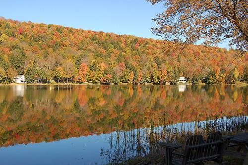 Outdoor Pictures 15