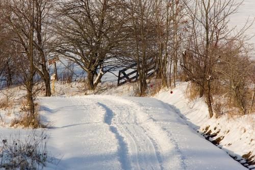 Outdoor Pictures 18