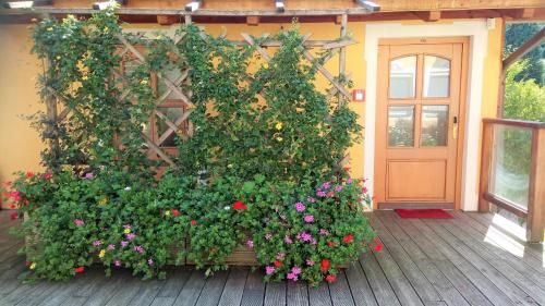 Outdoor Pictures 22