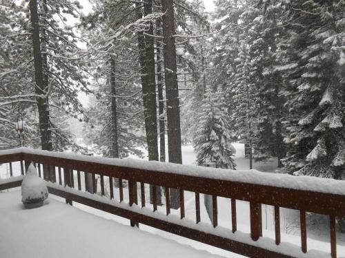 Outdoor Pictures 23