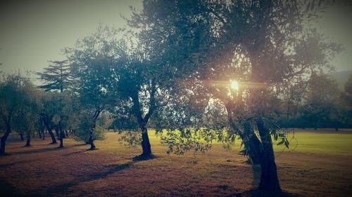 Outdoor Pictures 21