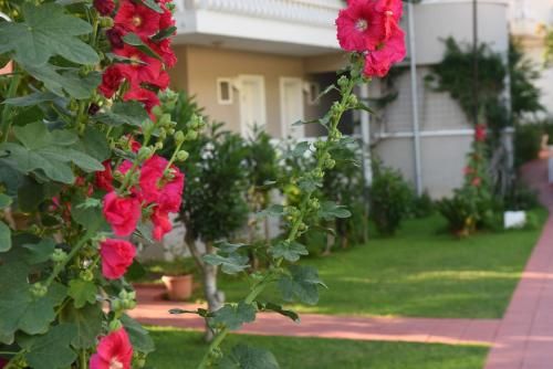Outdoor Pictures 16