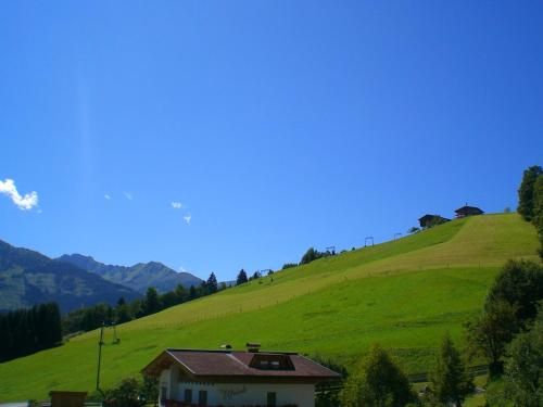 Outdoor Pictures 24