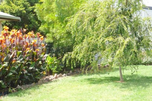 Outdoor Pictures 13
