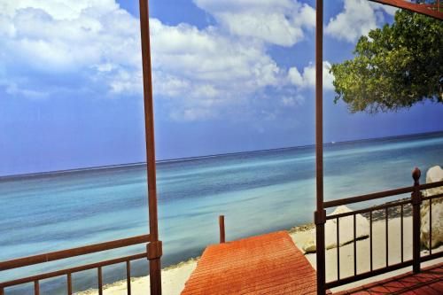 Outdoor Pictures 17