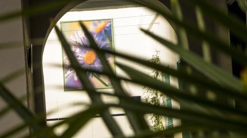 Outdoor Pictures 20
