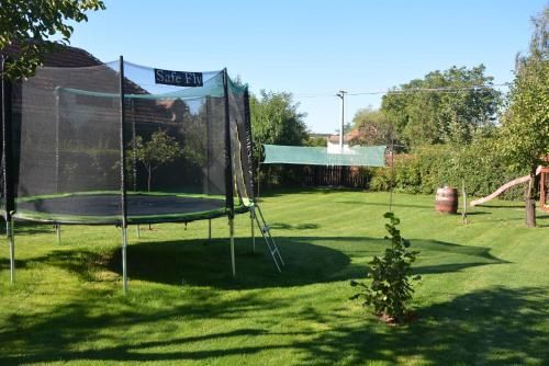Outdoor Pictures 18