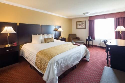 Best Western Plus South Bay Hotel