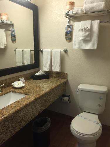 Best Western Plus South Bay Hotel