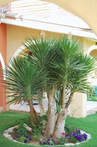 Outdoor Pictures 21