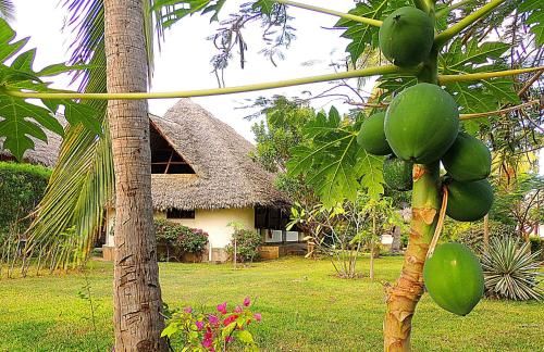 Lions House Boutique Hotel