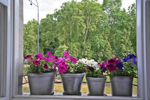 Outdoor Pictures 14