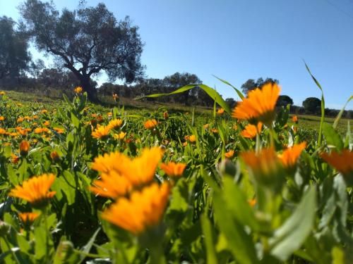 Outdoor Pictures 22