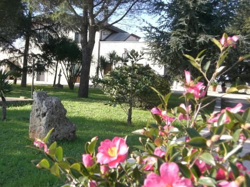 Outdoor Pictures 22