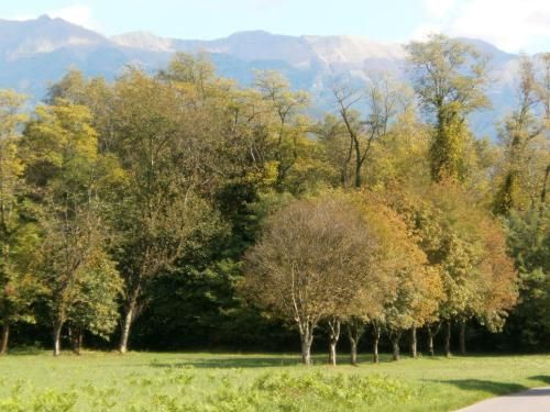 Outdoor Pictures 15