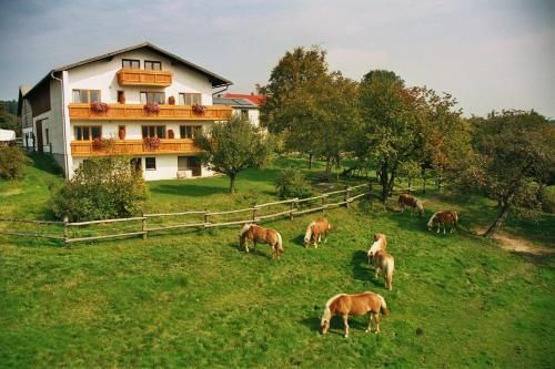 Outdoor Pictures 24