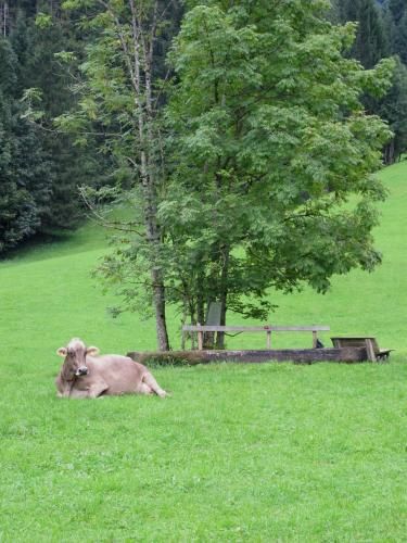Outdoor Pictures 16