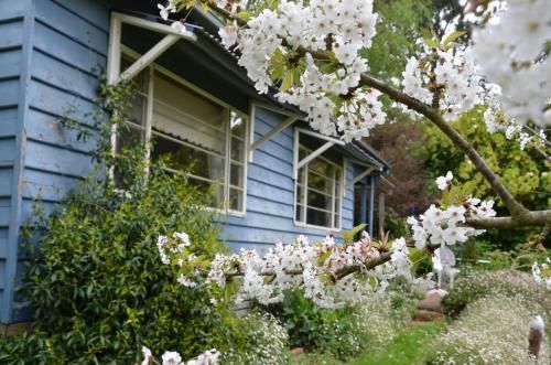 Outdoor Pictures 1