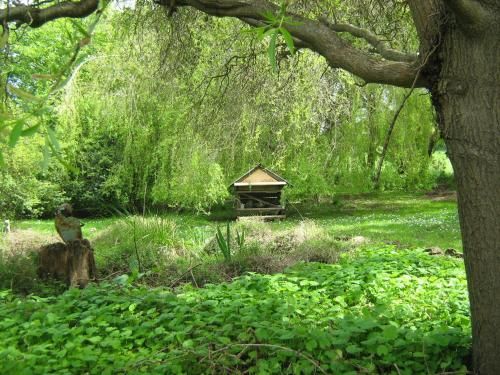 Outdoor Pictures 19