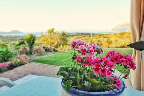 Outdoor Pictures 21